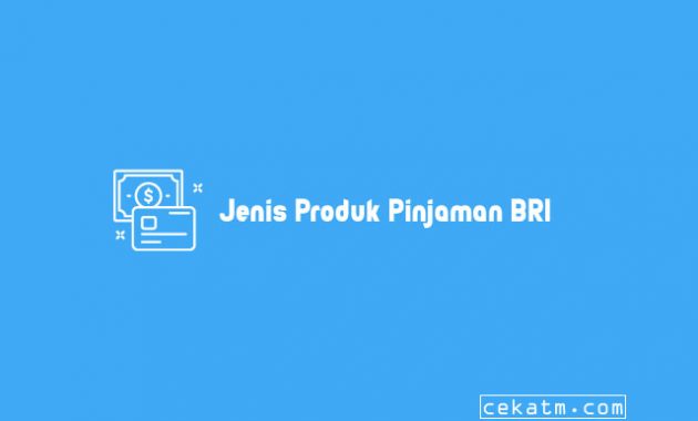 Jenis Produk Pinjaman BRI
