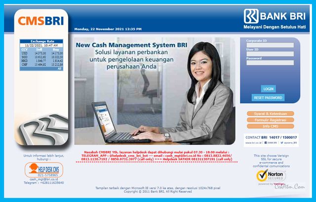 BRI Cash Management