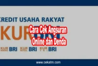 Cara Cek Angsuran KUR BRI Online