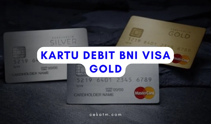 BNI Visa Gold