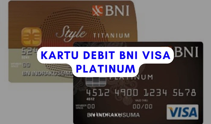 NI Visa Platinum 