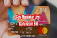 Cara Menaikkan Limit Kartu Kredit BNI