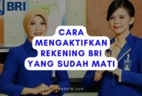 Cara Mengaktifkan Rekening BRI yang Sudah Mati