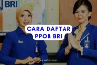 Cara Daftar PPOB BRI