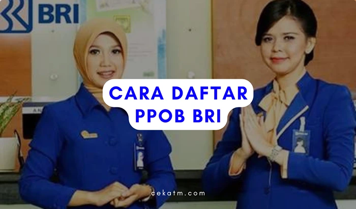 Cara Daftar PPOB BRI