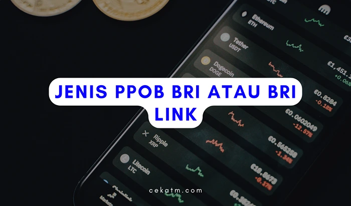 Jenis PPOB BRI atau BRI Link