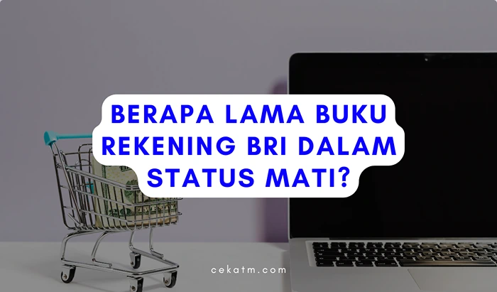 Berapa Lama Buku Rekening BRI dalam Status Mati?