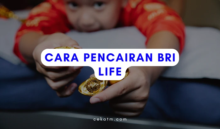 Cara Pencairan BRI Life