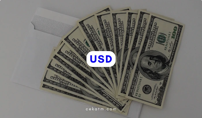USD (US Dollar) 