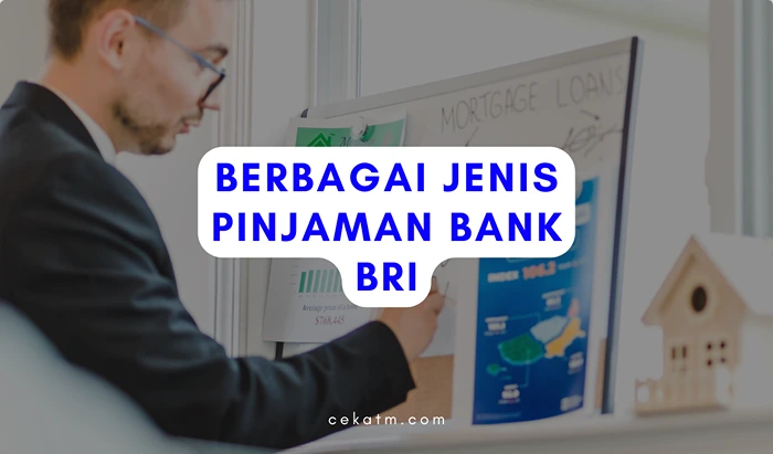 Berbagai jenis Pinjaman Bank BRI