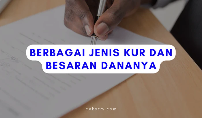 Berbagai Jenis KUR dan Besaran Dananya