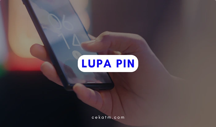 Lupa Pin