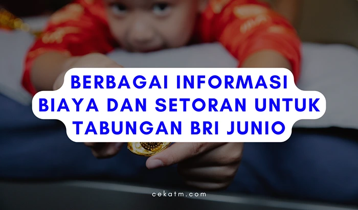 Berbagai Informasi Biaya dan Setoran untuk Tabungan BRI Junio