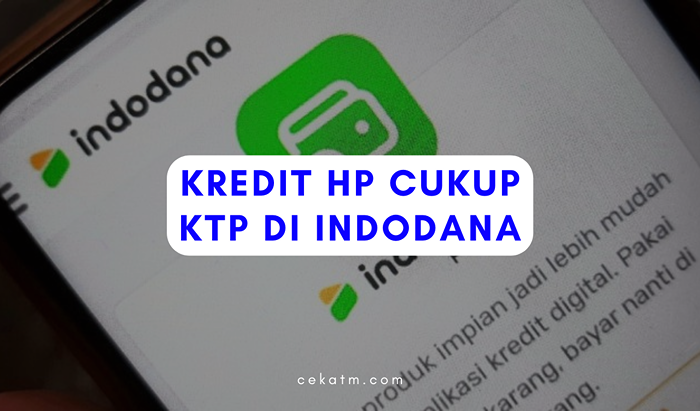 Indodana