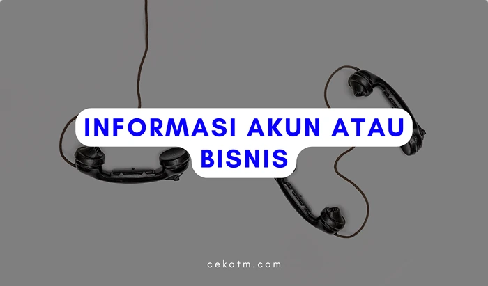 Informasi Akun atau Bisnis