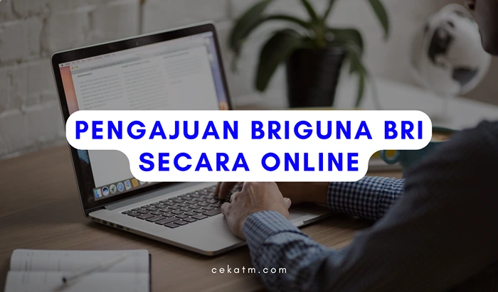 Cara Mengajukan Briguna BRI Online