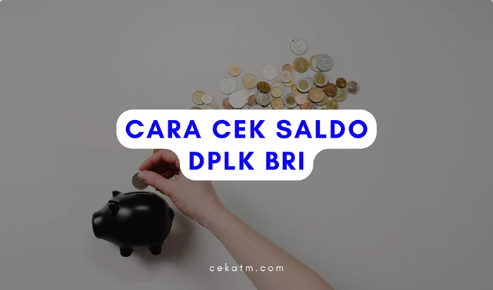 Cara cek saldo DPLK BRI