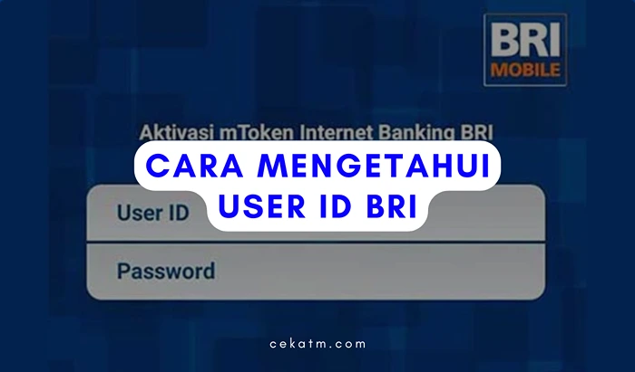 Cara mengetahui User ID BRII