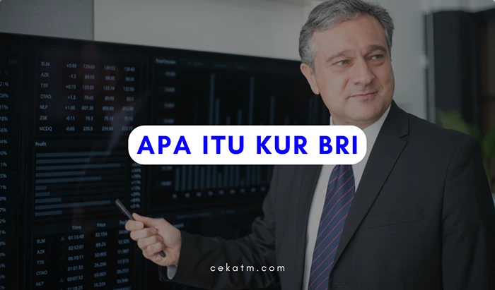 Apa Itu KUR?