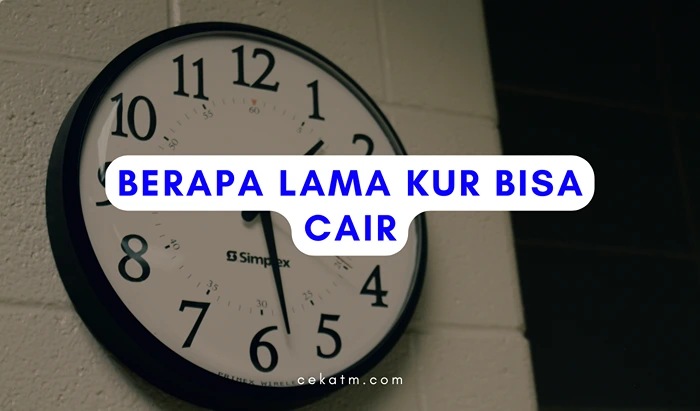 Berapa Lama KUR Bri Bisa Cair?