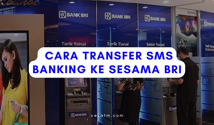 Cara Transfer SMS Banking Ke Sesama BRI