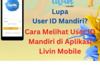 Cara Melihat User ID Mandiri Tanpa ke Bank