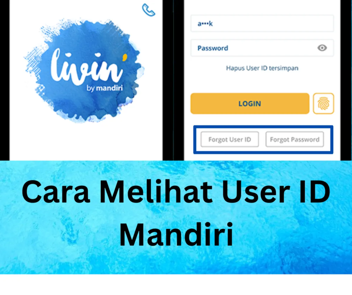 Cara Melihat User ID Mandiri Melalui Livin by Mandiri